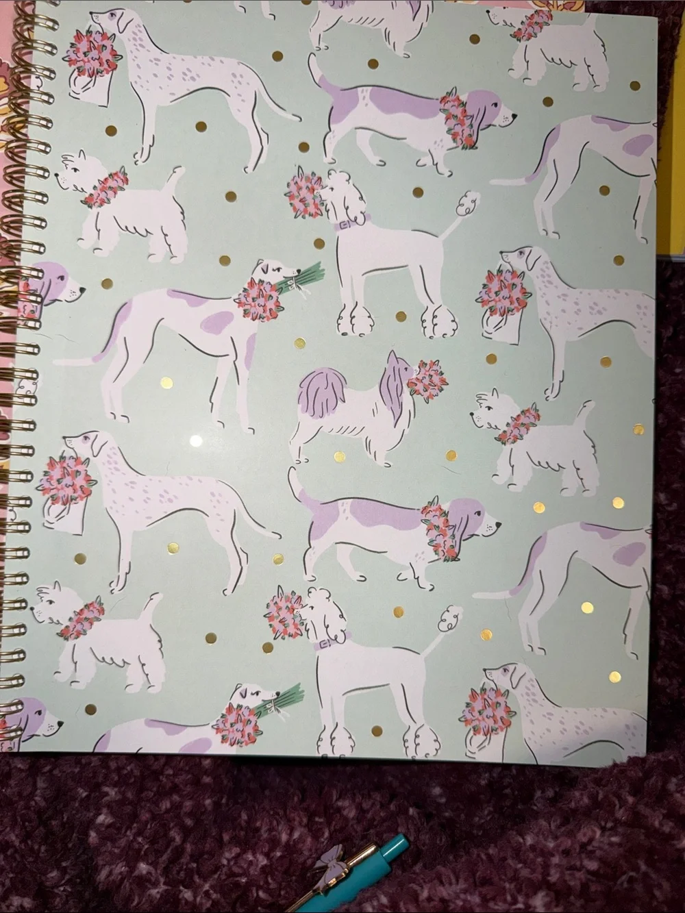 Dog Notebook Set-Various lined paper, matching Bow Pen, 2 Folders, Comp Book